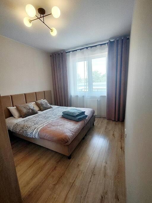 Apartment Piwna Zielona Gora (Lubuskie)
